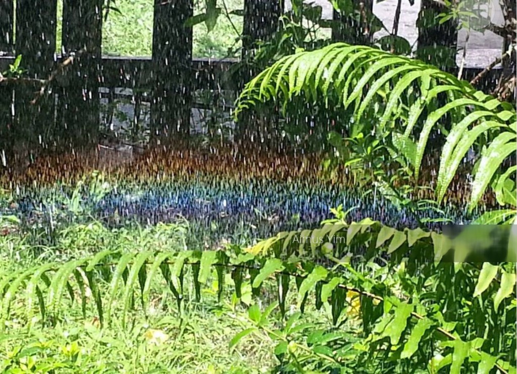 Gerald Gardens thumbnail photo